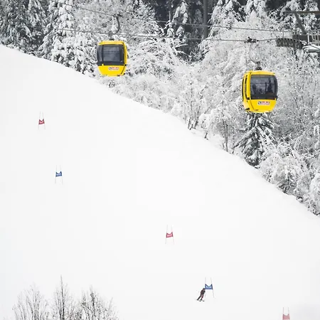 Апартаменты Alpenstyle By Alpentravel *